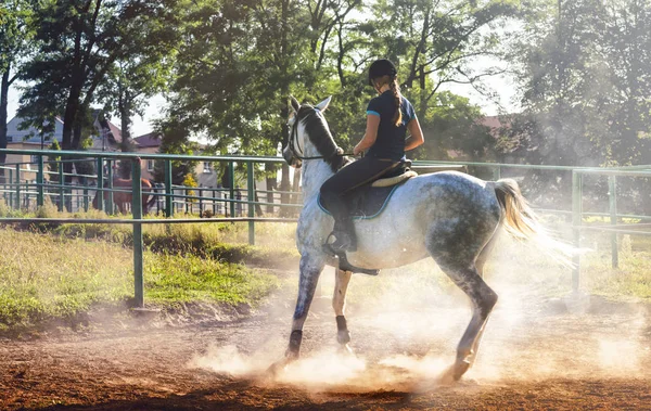 Woman riding a horse in dust on paddock — Stock Photo, Image