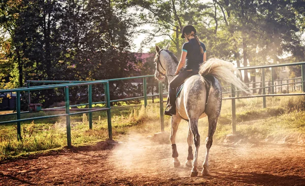 Woman riding a horse in dust on paddock — Stock Photo, Image