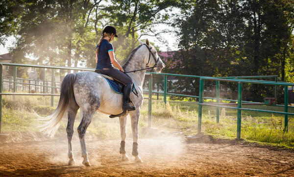 Woman riding a horse in dust on paddock