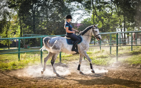 Woman riding a horse in dust on paddock — Stock Photo, Image