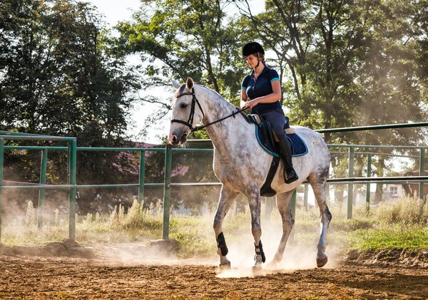 Woman riding a horse in dust on paddock