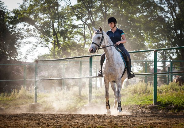Woman riding a horse in dust on paddock