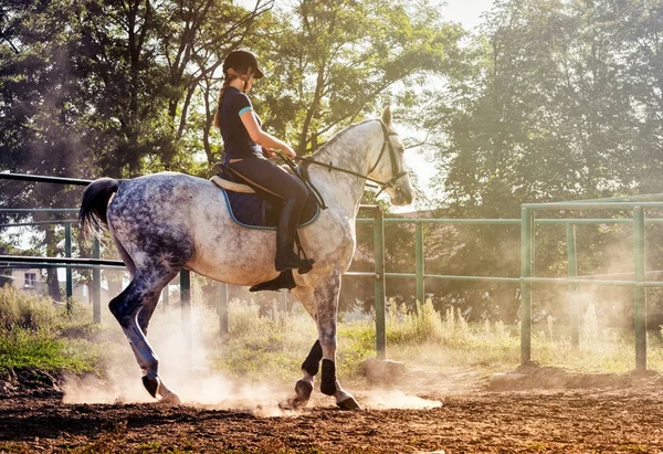 Žena na koni v prachu na paddock — Stock fotografie