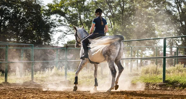 Vrouw rijden een paard in stof op de paddock — Stockfoto