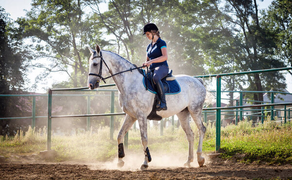 Woman riding a horse in dust on paddock