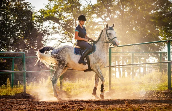 Kobieta na koniu w kurzu na paddock — Zdjęcie stockowe