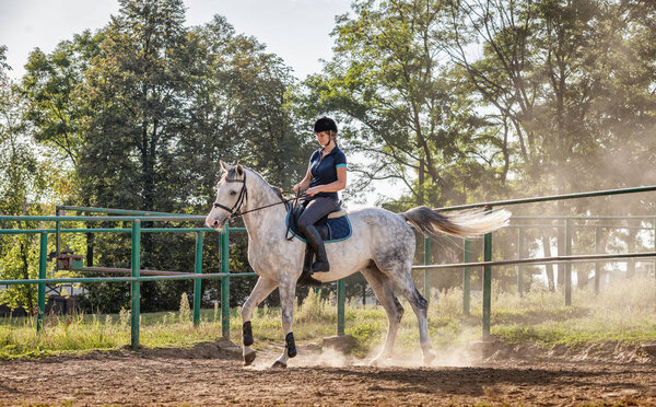 Woman riding a horse in dust on paddock
