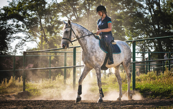Woman riding a horse in dust on paddock