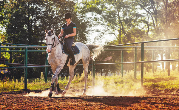 Woman riding a horse in dust on paddock