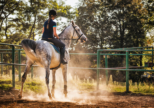 Woman riding a horse in dust on paddock