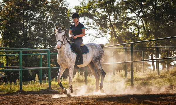 Woman riding a horse in dust on paddock