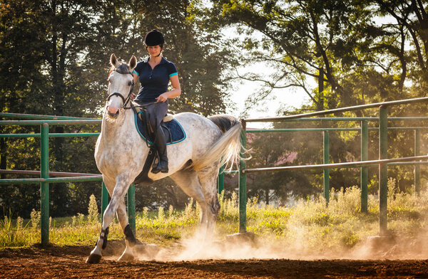 Woman riding a horse in dust on paddock