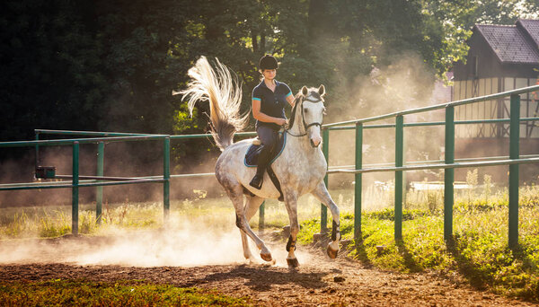 Woman riding a horse in dust on paddock
