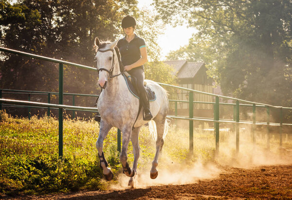 Woman riding a horse in dust on paddock