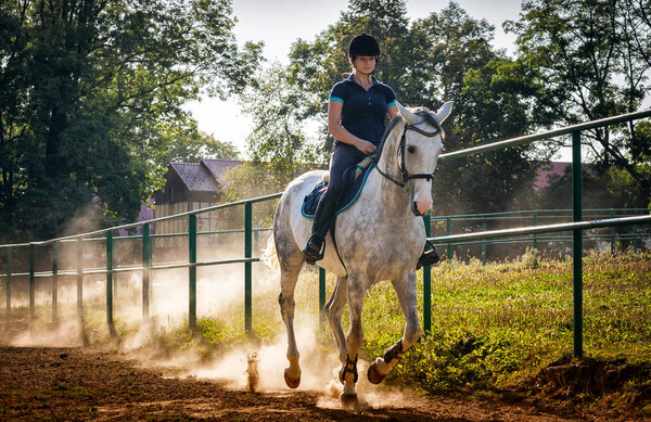 Woman riding a horse in dust on paddock