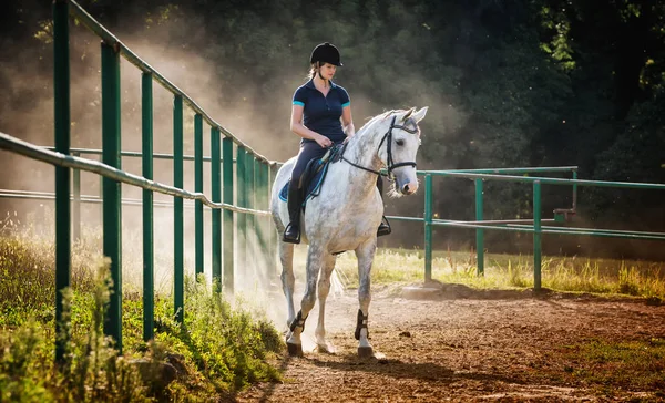 Mujer montando un caballo en el polvo en el paddock — Foto de Stock