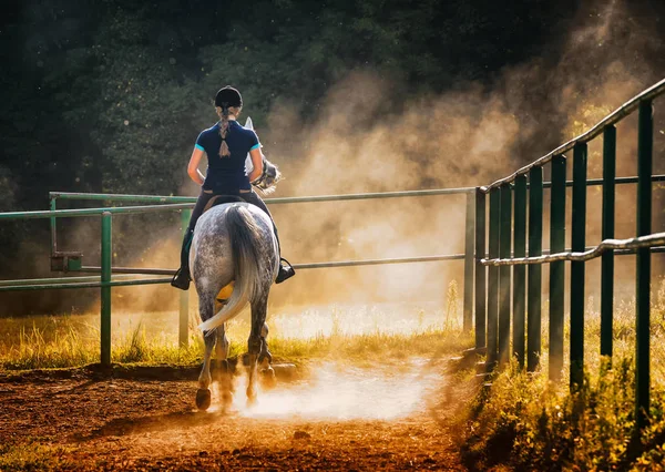 Woman riding a horse in dust on paddock — Stock Photo, Image