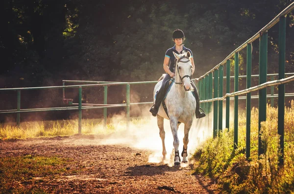 Wanita menunggang kuda dalam debu di paddock — Stok Foto