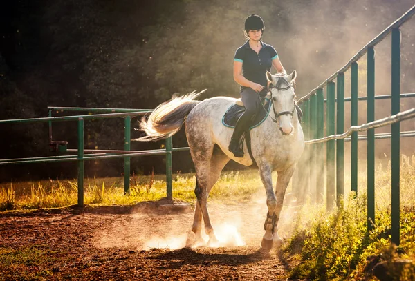 Жінка їде на коні в пилу на весло — стокове фото