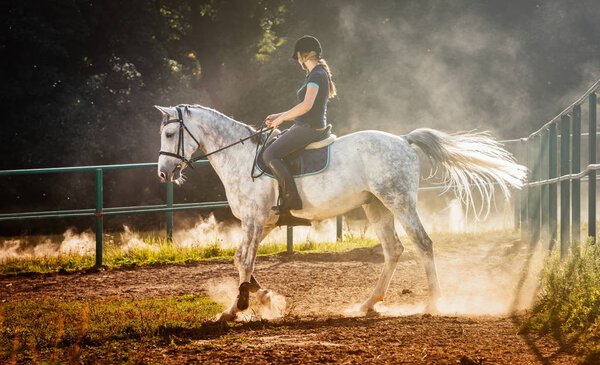 Woman riding a horse in dust on paddock