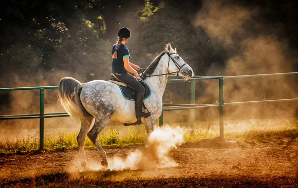パドックのほこりで馬に乗る女性 — ストック写真