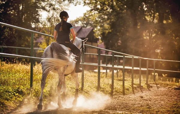 Woman riding a horse in dust on paddock — Stock Photo, Image