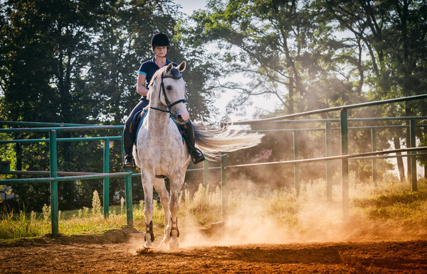 Woman riding a horse in dust on paddock