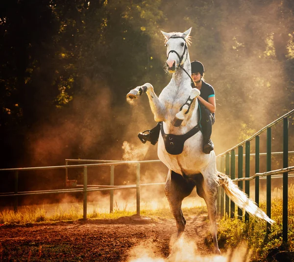 Woman riding a horse in dust, beautiful pose on hind legs — Stock Photo, Image
