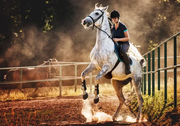 Mujer montando un caballo en el polvo, hermosa pose en las patas traseras — Foto de Stock