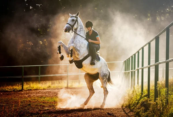 Kvinna som rider en häst i damm, vacker pose på bakben — Stockfoto