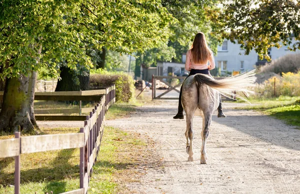 Woman riding a horse on country road near paddock — Stock Photo, Image