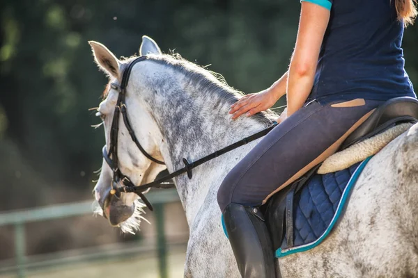 Mujer montando un caballo en el paddock, ropa deportiva de mujer a caballo — Foto de Stock