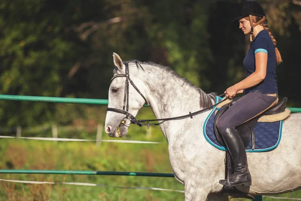 Woman riding a horse on paddock, horsewoman sport wear — Stock Photo, Image