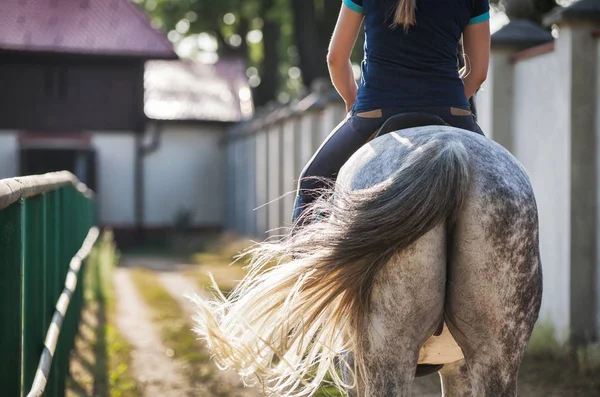 Mujer montando un caballo en el paddock, ropa deportiva de mujer a caballo — Foto de Stock