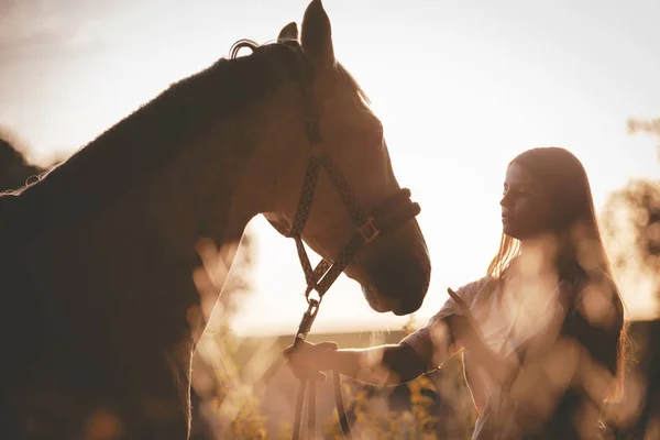 Woman with her horse at sunset, autumn scene — Stock Photo, Image