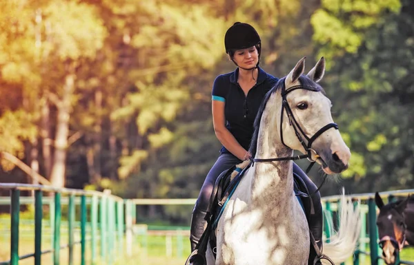 Mujer joven montando a caballo, jinete en ropa deportiva — Foto de Stock