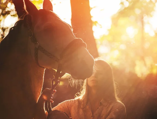 Jeune femme étreint cheval pendant le coucher du soleil — Photo