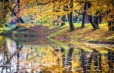Sonbahar Gölü parkta, renkli sonbahar arka plan