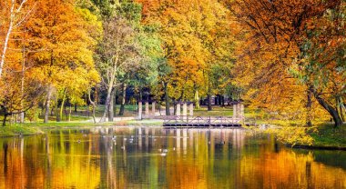 Göl ve renkli ağaçlar renkli sonbahar park