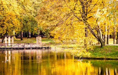 Göl ve renkli ağaçlar renkli sonbahar park