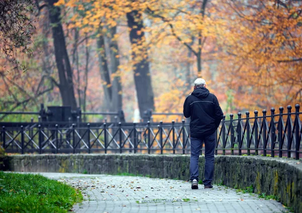 Sám muž v podzimním parku, pohled zezadu — Stock fotografie