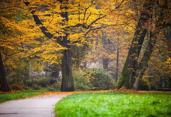 Färgglad gränd i höstparken — Stockfoto