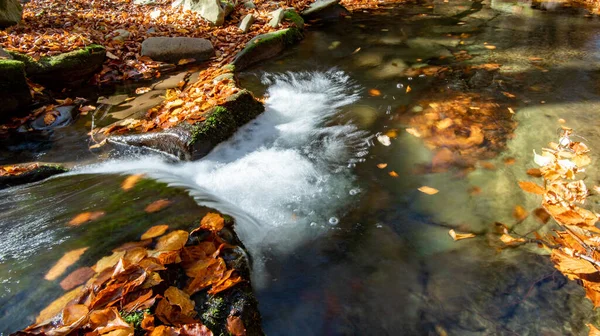 Rio Montanha Que Flui Através Floresta Colorida Outono — Fotografia de Stock