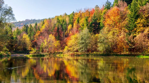 Neuvěřitelná Podzimní Krajina Jezerem Horami — Stock fotografie