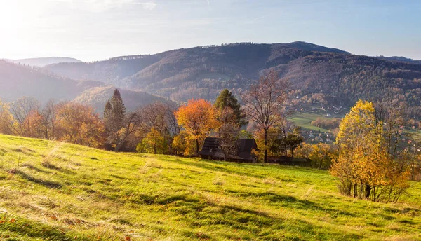 Kolorowy Jesienny Karpacki Krajobraz Gór — Zdjęcie stockowe
