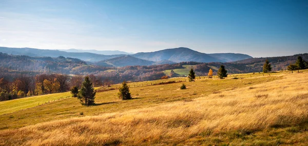 カラフルな秋のカラフルな山の風景 ロイヤリティフリーのストック写真