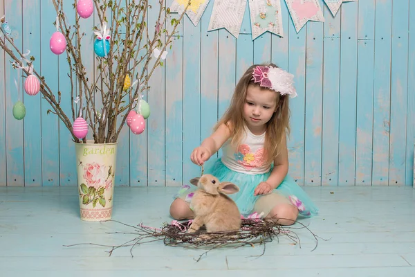 Little beautiful and charming girl sister along with rabbit sitting on the floor or chair in bright blue clothes Easter, eggs, festive mood, emotion and smile surprise holiday celebration — Stock Photo, Image