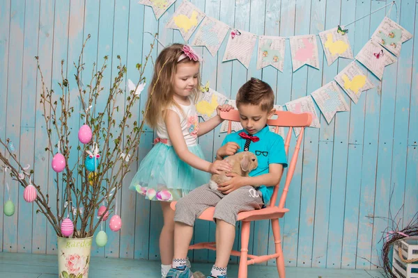 Dos niños pequeños, niño, niña, hermano y hermana junto con el conejo sentado en el suelo en ropa azul brillante Pascua, huevos, humor festivo, emoción y sonrisa fiesta sorpresa celebración —  Fotos de Stock