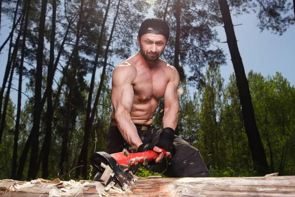 Работник лесоруба срубил дерево, срубив много шикарных деревьев — стоковое фото