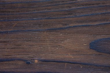 Doğal grungy kırık ahşap doku ile deniz mili, yakın çekim